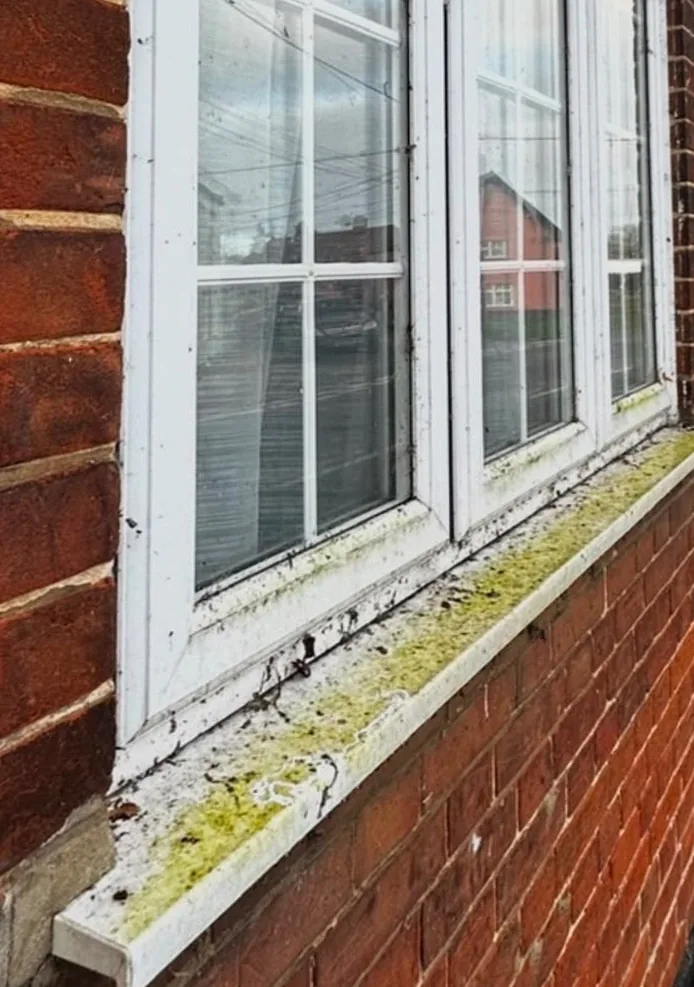 Before: a three-pane white window in Earsham with a green, mossy sill and grimy frames