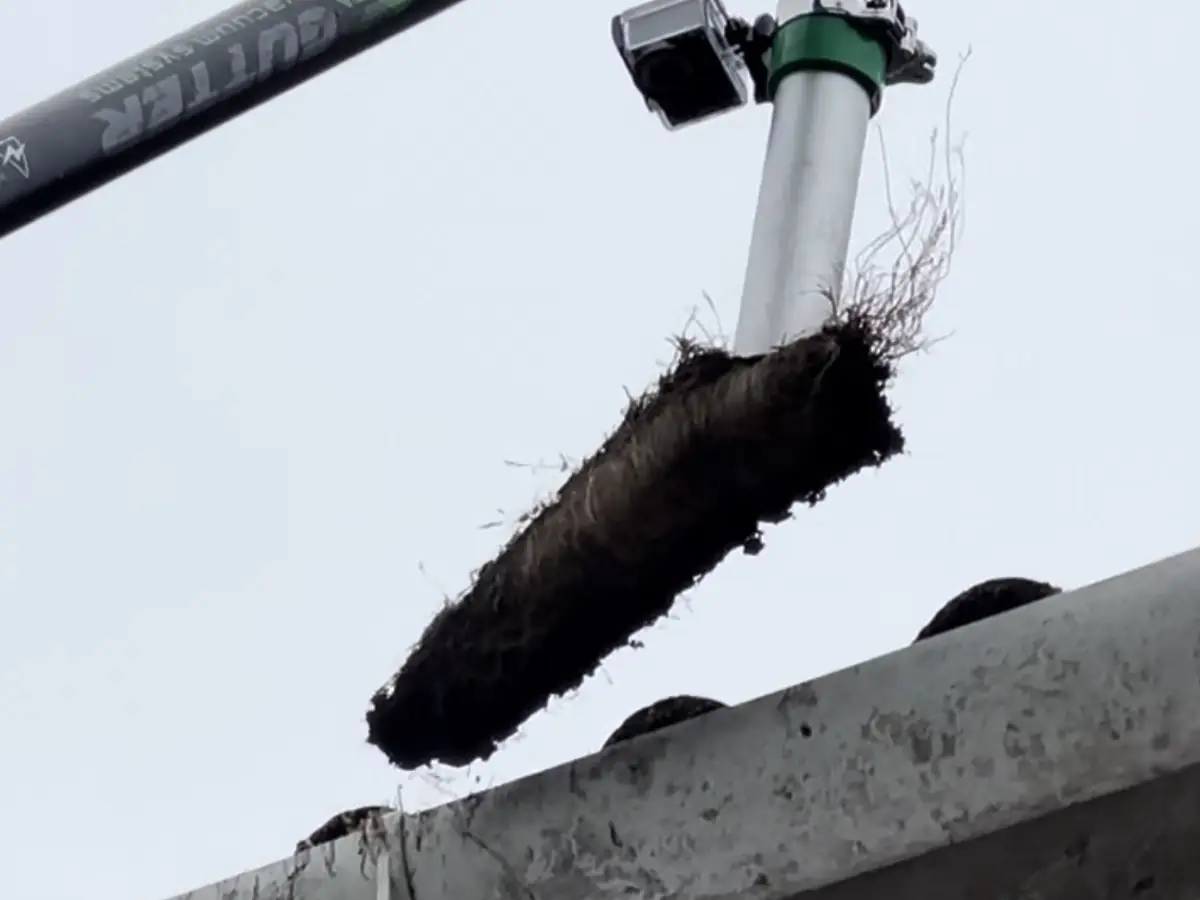 A gutter vacuum head on a pole lifting a clump of moss and debris out of a gutter