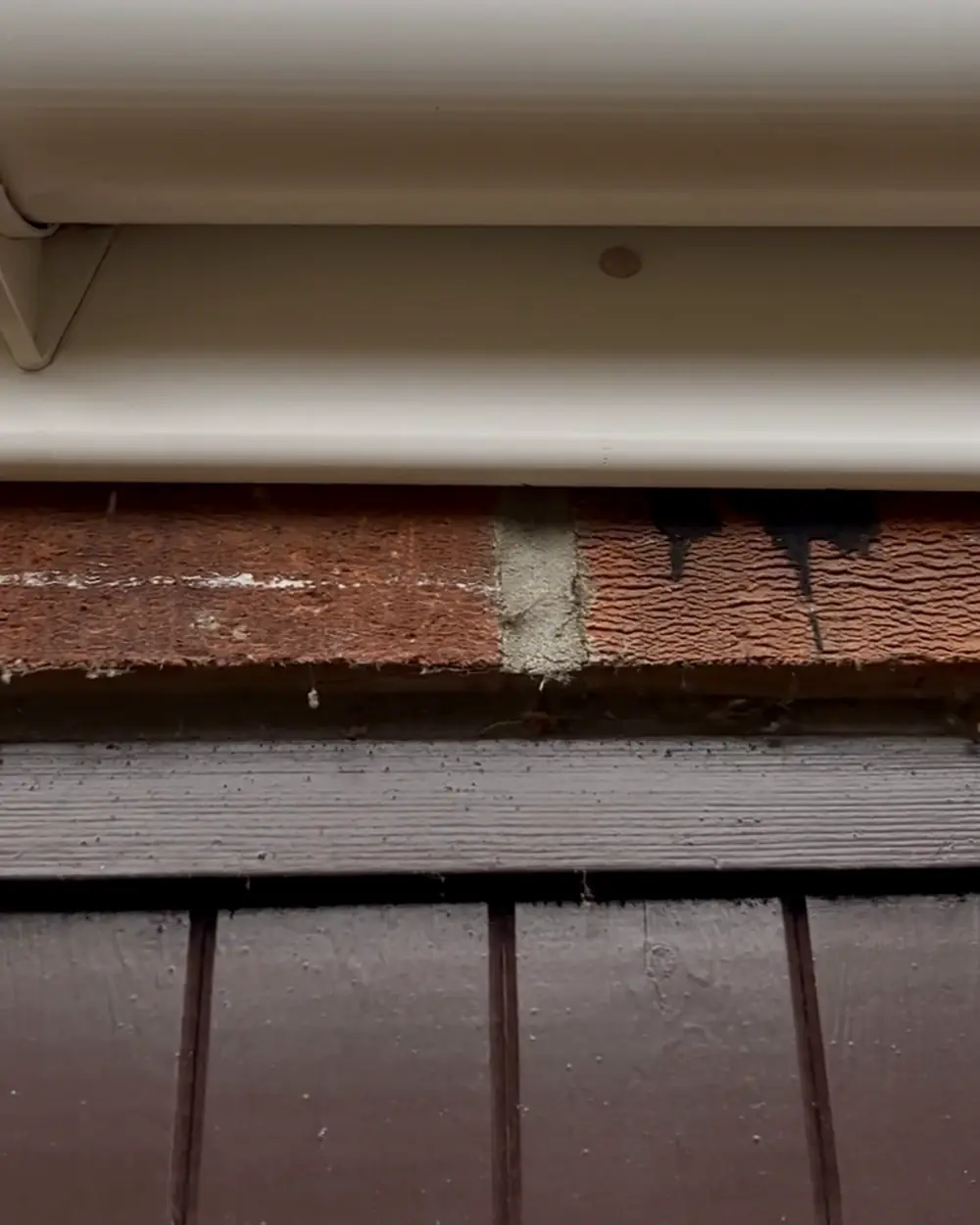 After: the same gutter and fascia washed clean and white