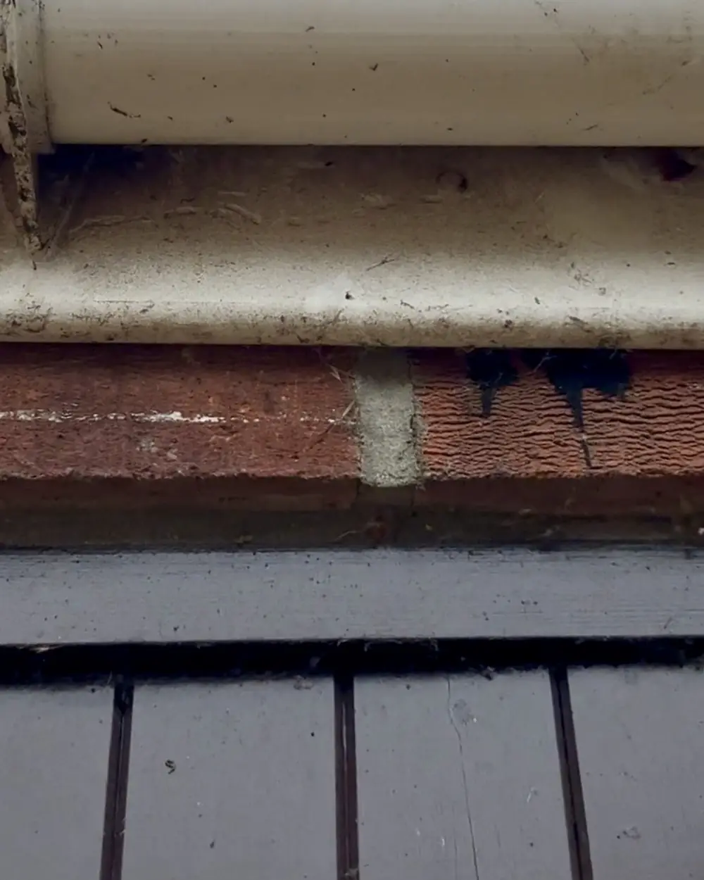 Before: a grey, streaky gutter and fascia above a garage
